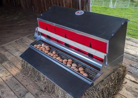 10 hole metal chicken nest boxes|extra large chicken nesting boxes.